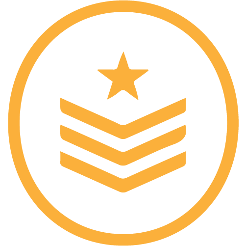 Veterans Badge Icon