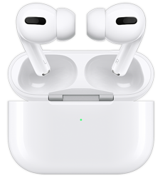 Apple Earbuds